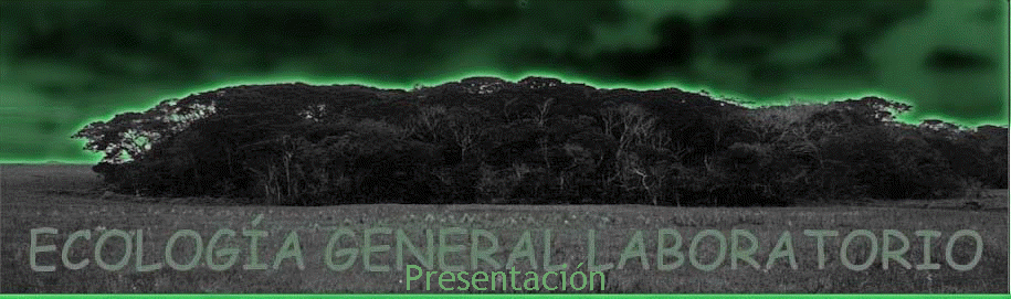 Presentacin